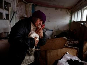 Ayam Peliharaan Selamatkan Hidup Nenek Ukraina saat Perang