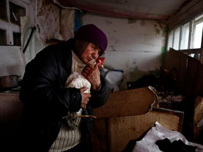 Ayam Peliharaan Selamatkan Hidup Nenek Ukraina saat Perang