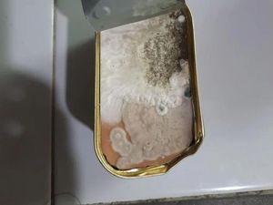 Apes! Beli Kornet Sudah Berjamur, Ternyata Setelah Ditukar Dapat yang Berjamur Juga