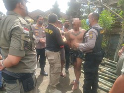 IMA Mengamuk, Pukul Orang dan Tebas Anak Babi