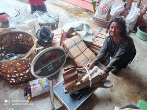 Mengais Sampah untuk Menyambung Hidup di Pesisir Belawan