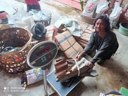 Mengais Sampah untuk Menyambung Hidup di Pesisir Belawan