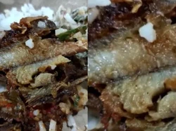 Komplain Ada Belatung di Makanannya, Pelanggan Ini Malah Dicuekin Pemilik Warung
