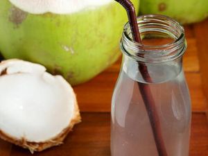 Air Kelapa Muda Baik Dikonsumsi Selama Puasa Untuk Cegah Dehidrasi