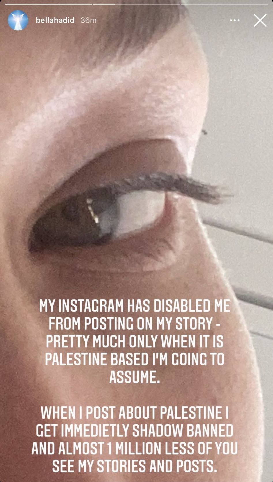 Instagram Story Bella Hadid