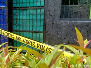 Sederet Fakta Tragis Perawat Satwa Tewas Diterkam Harimau di Banjarnegara Sederet Fakta Tragis Perawat Satwa Tewas Diterkam Harimau di Banjarnegara
