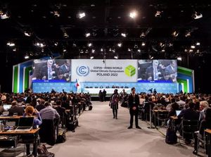 Meraup Untung Sembari Menjaga Bumi Lewat Perdagangan Karbon