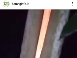 Heboh Pohon Besar Dekat Makam di Batang Tiba-tiba Membara-Terbakar