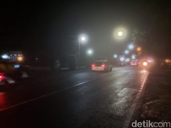 Sempat Putus 5 Jam Gegara Pohon Tumbang, Akses Malang-Blitar Kembali Normal