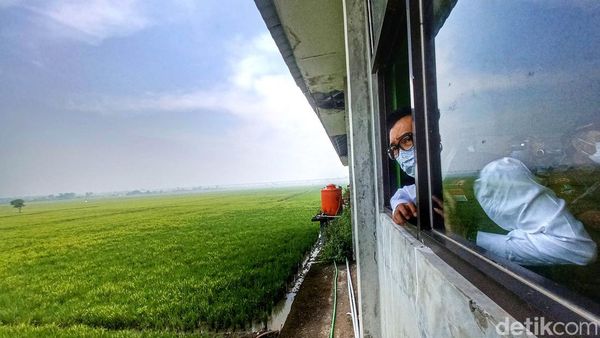 Saat Kang Emil Melongok Danau Tegalluar Bandung, Ini yang Ia Pikirkan