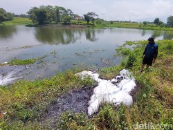 Limbah Industri Cemari Sungai Citarum Bikin Sengsara Petani-Penjala Ikan