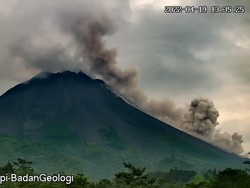 Gunung Merapi Luncurkan Awan Panas Sejauh 2 Km Siang Ini