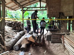 Tragis, Pemuda Banyuwangi Bunuh Diri Letakkan Kepalanya  ke Pemotong Kayu