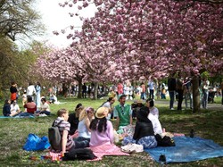 Ini Syarat Masuk Jepang, Jangan Sampai Salah Langkah Ya Traveler