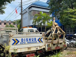 Sempat Hilang, Rachma Dishub Makassar Mulai Masuk Kantor