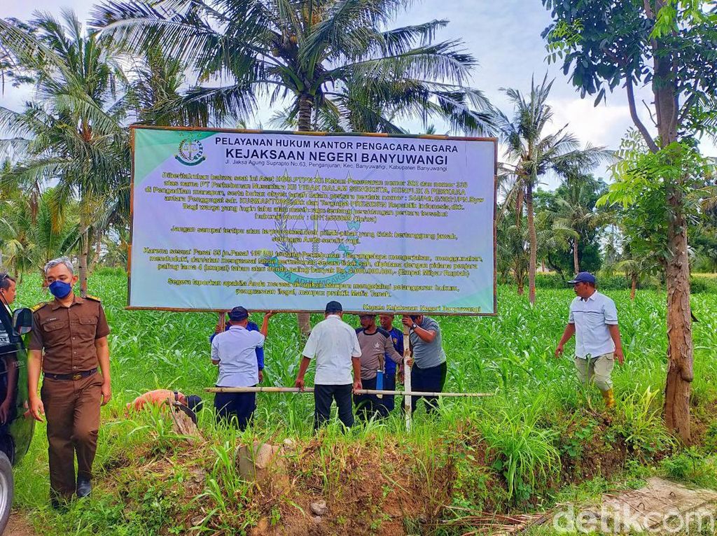 Kejari Banyuwangi Pasang Delapan Plang di Tanah Perkebunan PTPN XII Kejari Banyuwangi Pasang Delapan Plang di Tanah Perkebunan PTPN XII