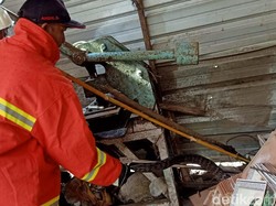 Hi... Ada Kobra 2 Meter di Tumpukan Keramik Rumah Warga Mojokerto