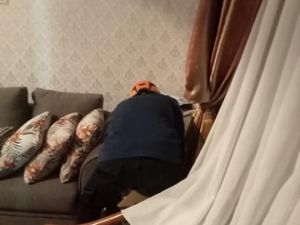 Ular Piton Tiba-tiba Muncul dalam Rumah Bikin Warga di Makassar Geger