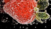 10 Karya Terbaik Kontes Foto Makro iPhone, Siap-siap Terpukau
