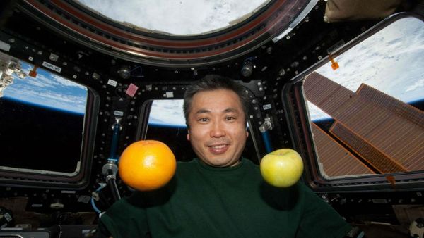15 Makanan Astronot Saat di Luar Angkasa, Sejak Tahun 1960an!