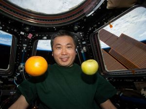 15 Makanan Astronot Saat di Luar Angkasa, Sejak Tahun 1960an! 15 Makanan Astronot Saat di Luar Angkasa, Sejak Tahun 1960an!