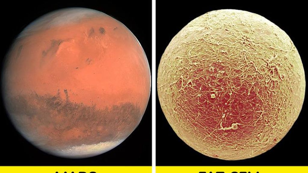 Foto Bagian Tubuh Manusia yang Bikin Mata Tercengang Foto Bagian Tubuh Manusia yang Bikin Mata Tercengang