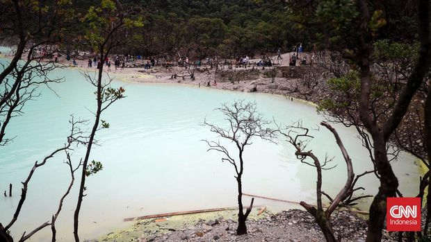 Sejumlah pengunjung berwisata di kawasan Kawah Putih, Ciwidey, Desa Alam Endah, Kecamatan Rancabali, Kabupaten Bandung. Indonesia/Adi Ibrahim