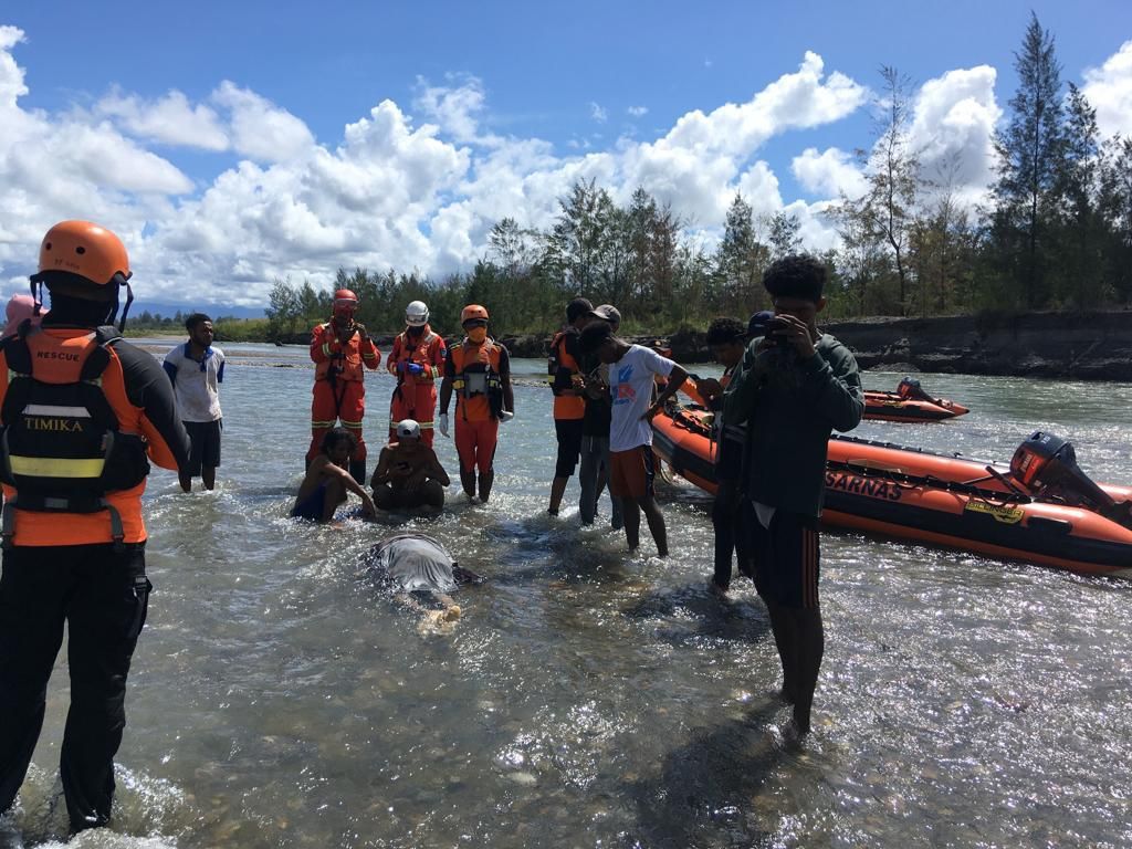 Tim SAR Temukan Lagi 1 Pendulang Emas Tewas Terseret Arus Sungai di Timika Tim SAR Temukan Lagi 1 Pendulang Emas Tewas Terseret Arus Sungai di Timika