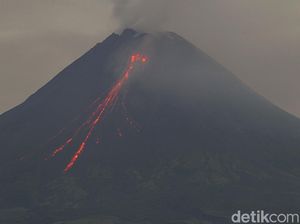 Gunung Merapi Kembali Muntahkan Lava Pijar Pagi Ini Gunung Merapi Kembali Muntahkan Lava Pijar Pagi Ini