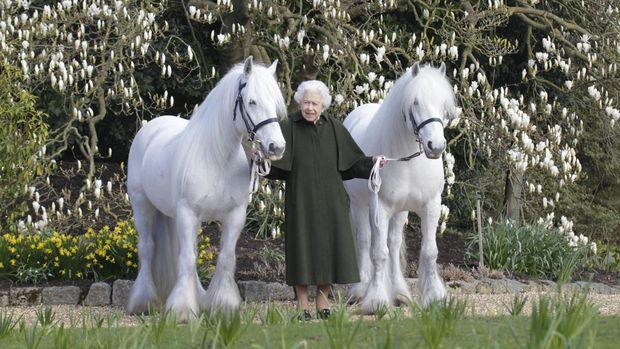 In this photo released by Royal Windsor Horse Show on Wednesday, April 20, 2022 and taken in March 2022, Britain's Queen Elizabeth II poses for a photo with her Fell ponies Bybeck Nightingale, right, and Bybeck Katie on the grounds of Windsor Castle in Windsor. Queen Elizabeth II is marking her 96th birthday privately on Thursday, retreating to the Sandringham estate in eastern England that has offered the monarch and her late husband, Prince Philip, a refuge from the affairs of state. (henrydallalphotography.com/Royal Windsor Horse Show via AP)