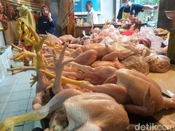 Siap-siap Bun, Kata Pedagang Harga Ayam Bakal Naik Terus Sampai Tahun Baru