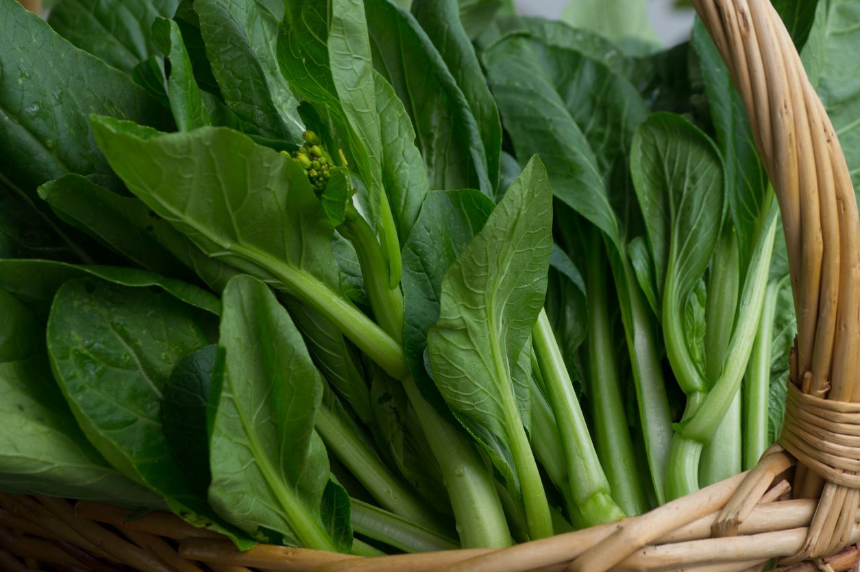 Ilustrasi sawi hijau atau chou sum