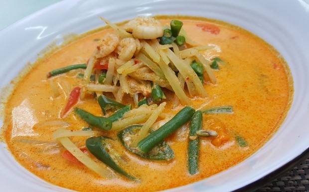 Ilustrasi Sayur godok pepaya muda.