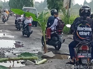 Jalur Alternatif Solo-Klaten Rusak, Warga Tanam Pisang di Tengah Jalan