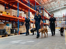 Hari Kartini, Ini Sederet Peran Bea Cukai dalam Berdayakan Perempuan