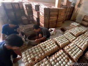 Perajin Telur Asin Brebes Kebut Produksi Jelang Mudik Lebaran Perajin Telur Asin Brebes Kebut Produksi Jelang Mudik Lebaran