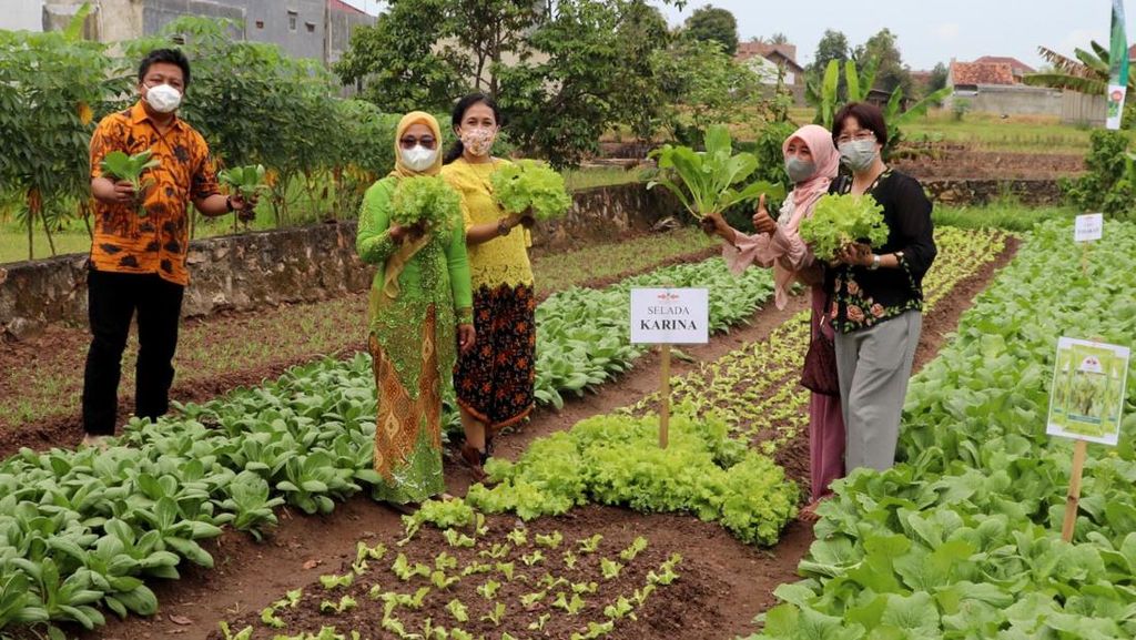 Rayakan Hari Kartini dengan Pemberdayaan Petani Wanita