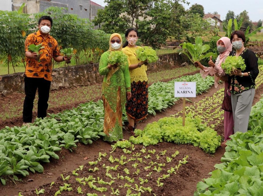 Rayakan Hari Kartini dengan Pemberdayaan Petani Wanita