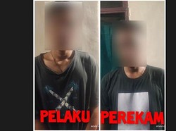 Ledakkan Petasan di Anus Kucing, 2 Pria Sumbawa Diringkus Polisi