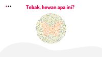 Yakin Kamu Nggak Buta Warna? Coba Sebutkan Hewan Apa yang Ada di Gambar Ini