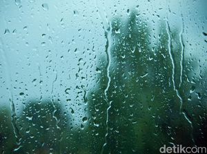 Depok Diguyur Hujan Disertai Angin Sore Ini, Waspada Pohon Tumbang Depok Diguyur Hujan Disertai Angin Sore Ini, Waspada Pohon Tumbang