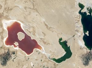 RI Butuh Rp 4.200 T Atasi Perubahan Iklim, dari Mana Uangnya?