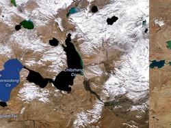 Google Doodle Peringati Hari Bumi 2022, Perubahan Iklim Ditandai Hal Ini