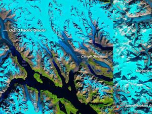 5 Jurusan Kuliah yang Berhubungan dengan Perubahan Iklim, Apa Saja?