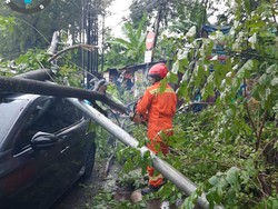 Hujan Angin Bikin Pohon di Jaksel Tumbang, 2 Mobil Ringsek Tertimpa
