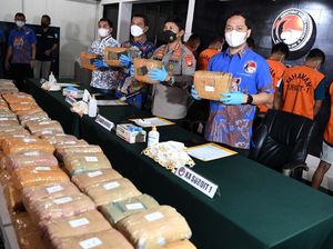 Polda Metro Jaya Pamer 471 Kg Ganja Jaringan Aceh