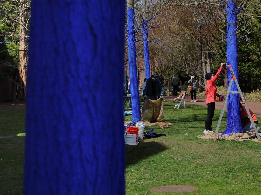 Rayakan Hari Bumi, Pohon di Museum Ini Dicat Warna Biru