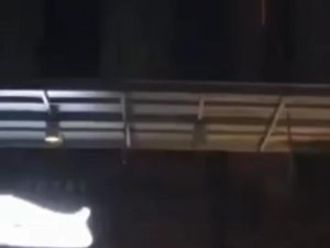 7 Fakta Joget Telanjang di Hotel Subang yang Bikin Gempar!