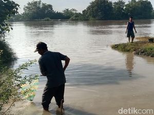 Melihat Keseruan Warga Lamongan Berburu Ikan Mabuk di Bengawan Solo Melihat Keseruan Warga Lamongan Berburu Ikan Mabuk di Bengawan Solo