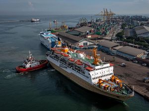 Aptrindo Tanjung Emas Mogok Buntut Pembatasan Operasional Angkutan Sumbu 3 Aptrindo Tanjung Emas Mogok Buntut Pembatasan Operasional Angkutan Sumbu 3